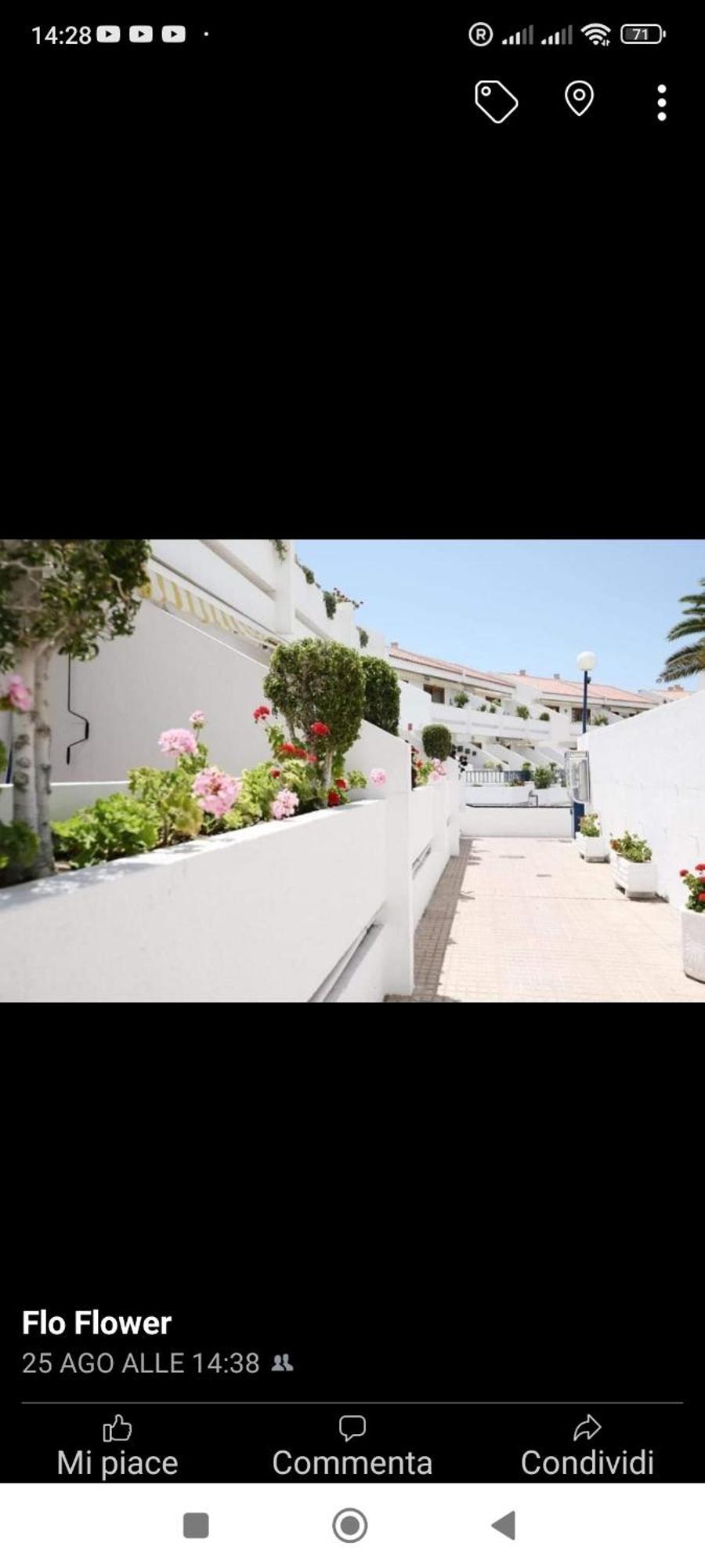 Garden City أذيخي المظهر الخارجي الصورة