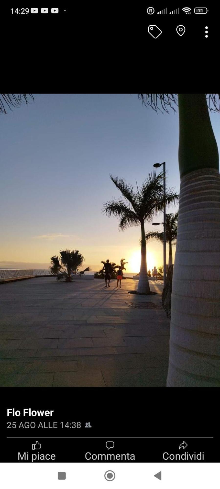 Garden City أذيخي المظهر الخارجي الصورة