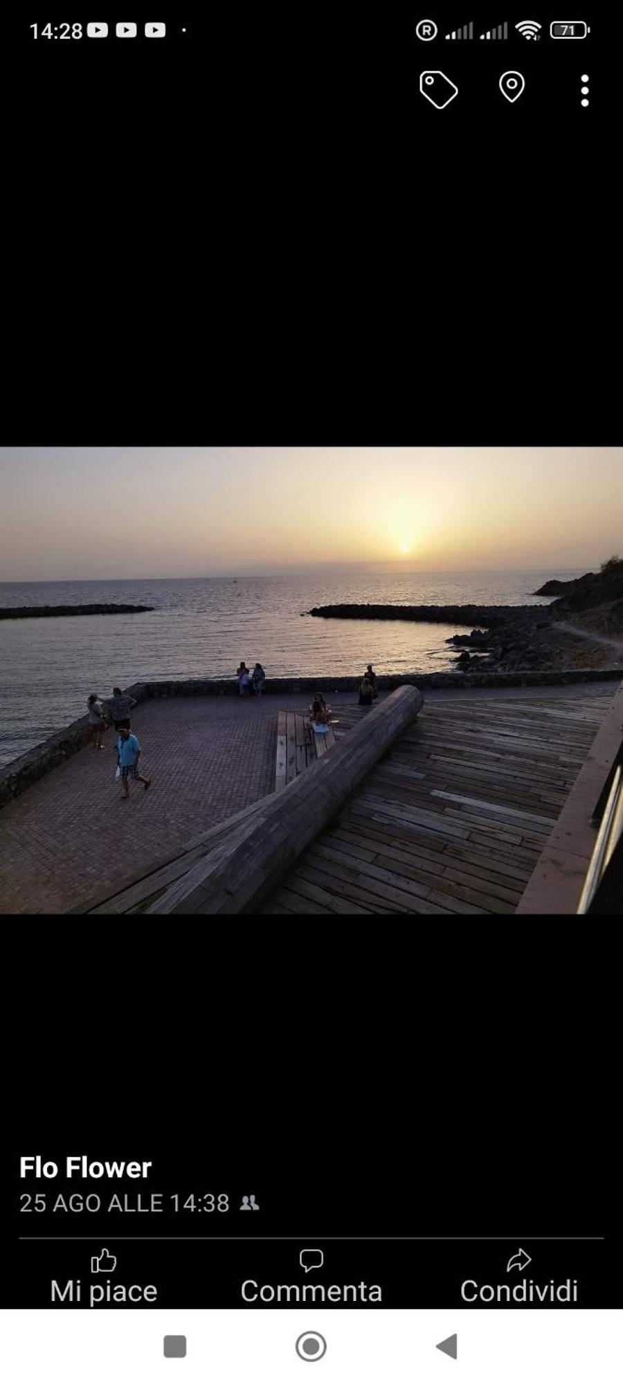 Garden City أذيخي المظهر الخارجي الصورة